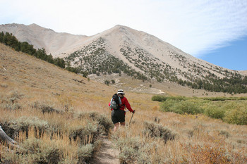 timber_boundary_peak.jpg