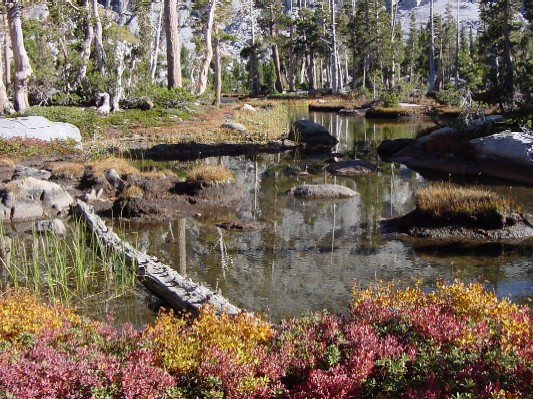 A small lake along the trail.