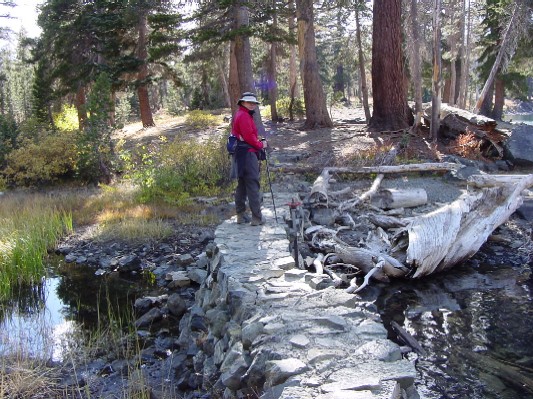 Timber at Gilmore Lake.