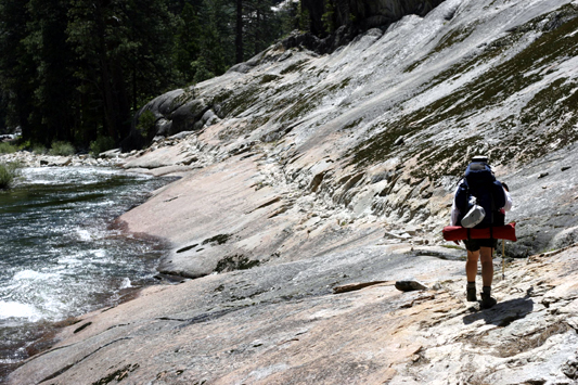 Timber walking on the tough trail.