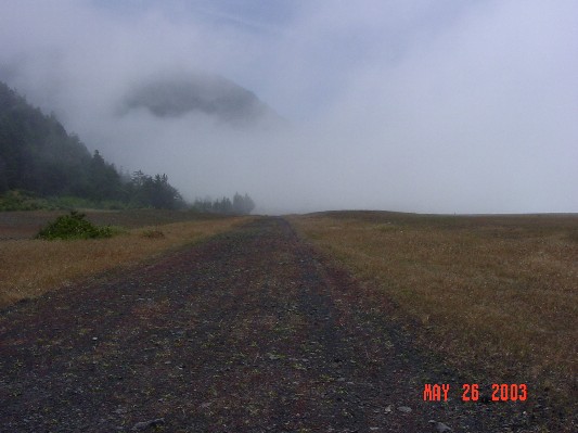 A part of the trail that goes inland a bit.