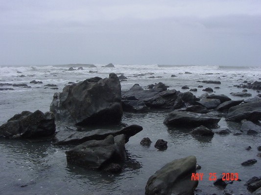 Some rocks and tidal pools along the Lost Coast.