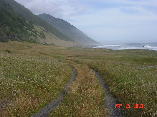 Part of an old Jeep trail along the Lost Coast.