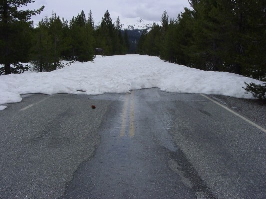 We can't go any further without snowshoes.