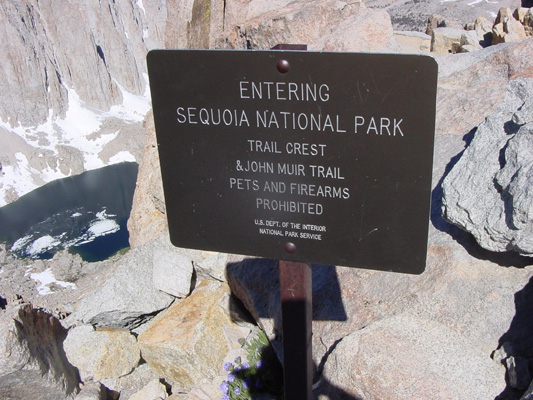 Welcome to Sequoia National Park.