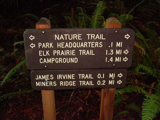 A trail sign on the way to Fern Canyon.