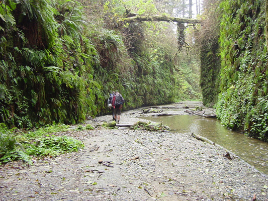 Another look at Fern Canyon