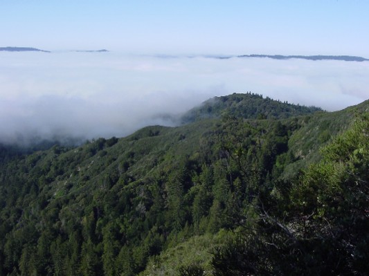 Looking west toward the fog and the Pacific Ocean.