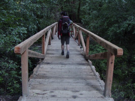 A nice redwood bridge.