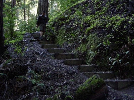 Stairs winding downward.