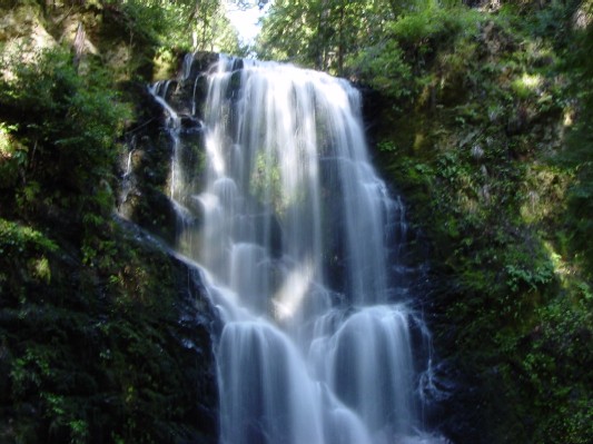 Berry Creek Falls